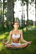 Photo: Practicing of yoga outdoors. Practicing of yoga outdoors.