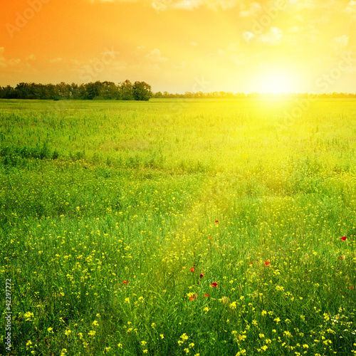 Photo: Beautiful sunset Beautiful sunset