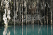 mexican cenote, sinkhole