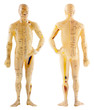 mannequin médecine chinoise, recto verso