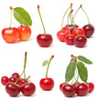 Cherry collection