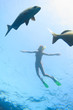 Sea and fish