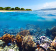 Bali Barat National Park