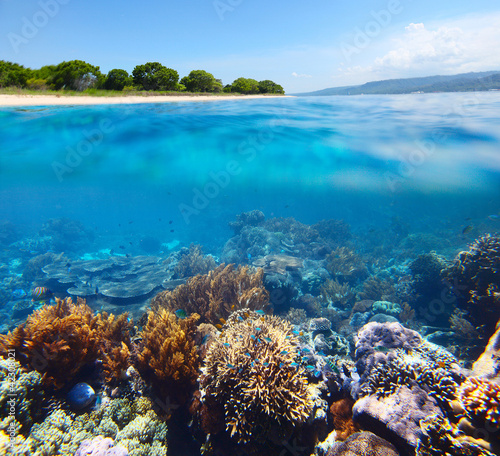 Foto: Bali Barat National Park Bali Barat National Park