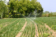 field irrigation