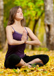 Photo: Woman doing yoga exercises in the autumn park Woman doing yoga exercises in the autumn park