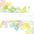 butterfly background