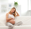 A young blond Caucasian pregnant woman sitting on a sofa