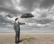 Photo: Businessman helps agriculture Businessman helps agriculture