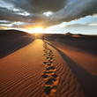 Hike in desert