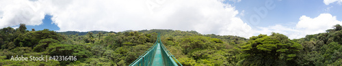 Photo: Cloud forest in Costa Rica Cloud forest in Costa Rica