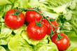 Photo: Fresh tomatoes Fresh tomatoes