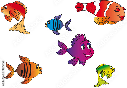 Illustration: fish illustration fish illustration