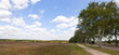 Panorama Lüneburger Heide mit Kutsche