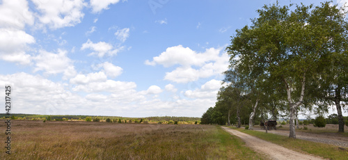Foto: Panorama Lüneburger Heide mit Kutsche Panorama Lüneburger Heide mit Kutsche