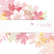 Vector: cherry blossom flowers background cherry blossom flowers background