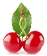 sweet juicy cherry with green leaf isolated on white background