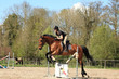 Young woman with a brown horse jump an obstacle