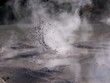 Geyser,mud and pool