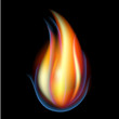 canvas print picture - Vector illustration of fire