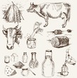 Vector: cow and milk products cow and milk products