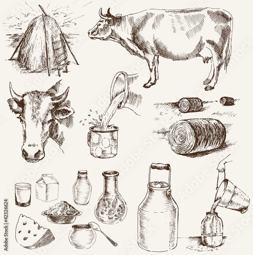 Vector: cow and milk products cow and milk products
