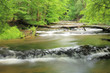 Photo: Reserve "Nad Tanwia", Tanew River, Roztocze. Reserve "Nad Tanwia", Tanew River, Roztocze.