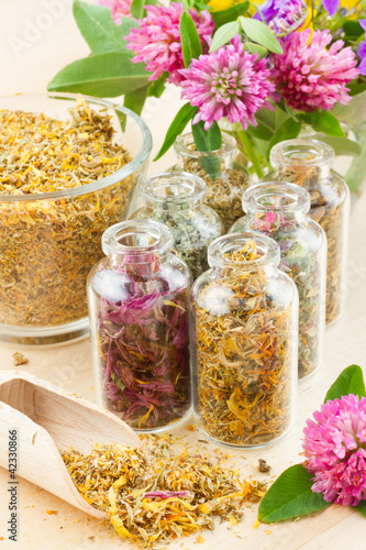 Photo: different healing herbs in glass bottles, flowers bouqet, herbal different healing herbs in glass bottles, flowers bouqet, herbal