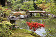 Isuien Garden, Nara