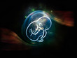 Fetus Visualization
