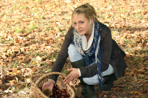 Foto: woman in woods picking up chestnuts woman in woods picking up chestnuts