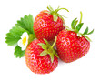 strawberry berry with green leaf and flower isolated on white