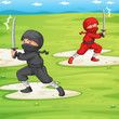 Ninja