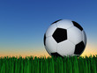 Illustration: Night Soccer Night Soccer