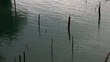 Video: Lake Lake