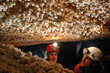 Cave stalactites