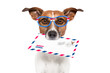 mail dog