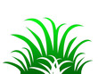 Touffe d'herbe