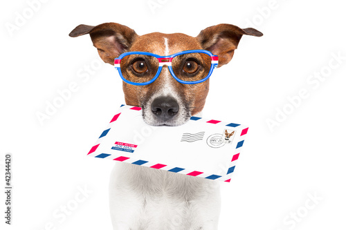 Photo: mail dog mail dog