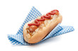 Foto: Hotdog In Napkin Hotdog In Napkin