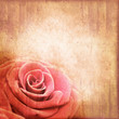 Rose Vintage Carré