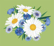 bouquet from blue and lilac knapweeds and chamomiles