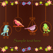 Beautiful birds in cages