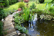 Garten Teich Seerosen