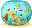 Vector: aquarium aquarium