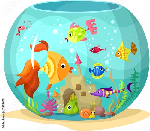 Vector: aquarium aquarium