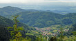 Schwarzwalddorf