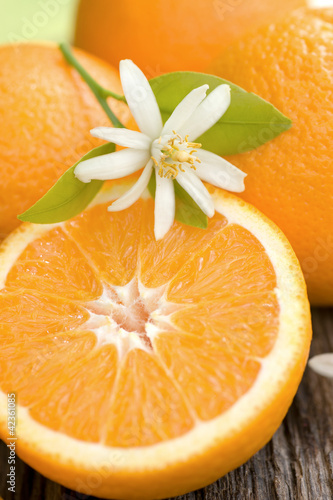 Photo: Orangen Orangen