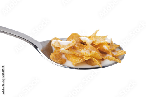 Photo: breakfast cereal breakfast cereal