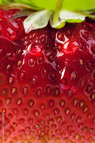Photo: red background summer strawberry farm red background summer strawberry farm
